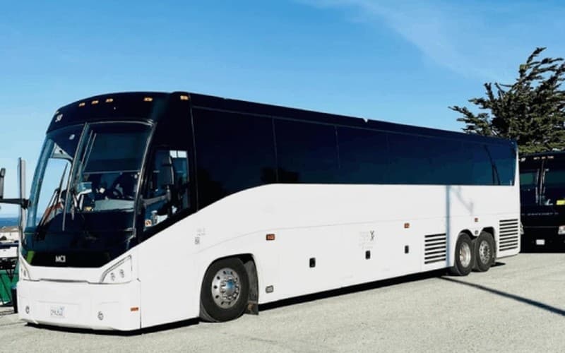 MCI Coach